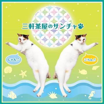三茶