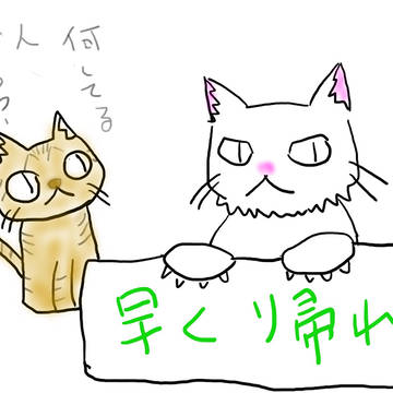 飼い猫ーズ