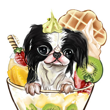 Japanese Chin  日本狆聖代