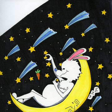 Rabbit with shooting star