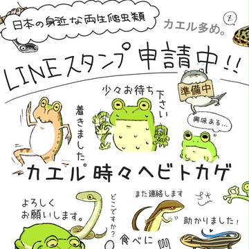 日本の身近な両生爬虫類