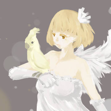鳥　少女