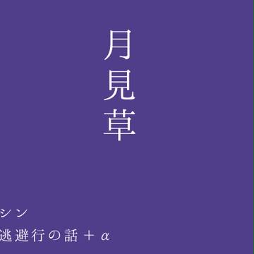 【貞カヲシン】月見草