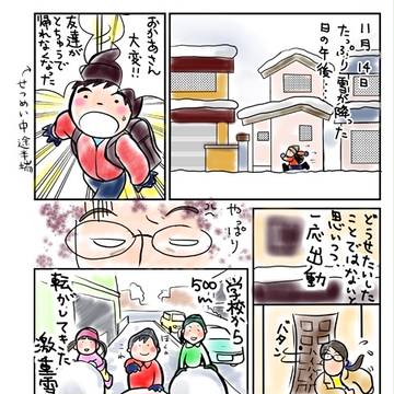 雪が降った11月
