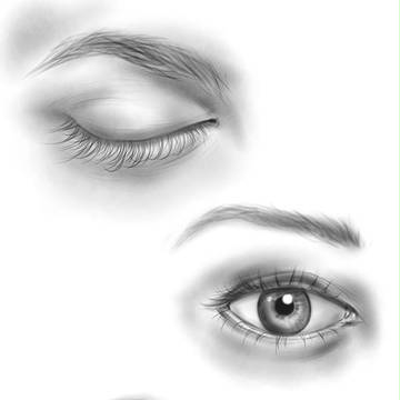 The Eyes