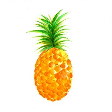 めたもるふぉーぜ