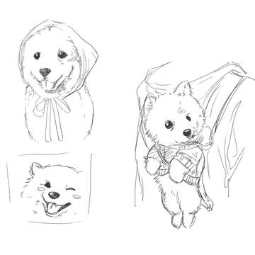 ワンちゃんたち