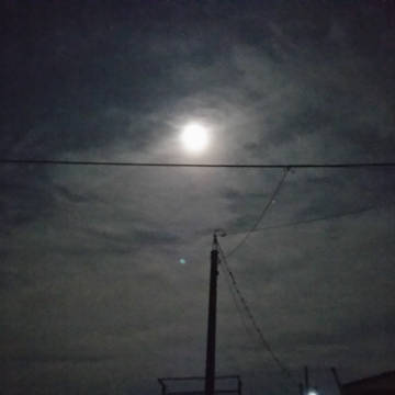 夜に浮かんだお月さま