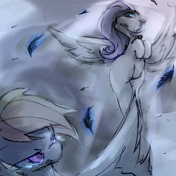 poni