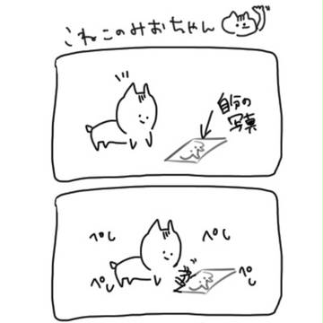 ねこのみーちゃん
