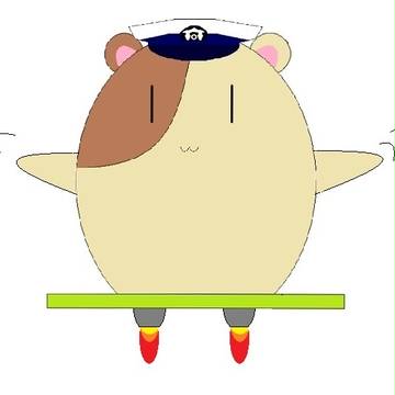 空も飛べる
