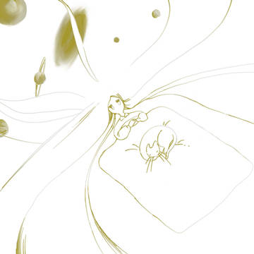 眠れない夜