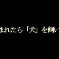 子供が生まれたら犬を飼いなさい