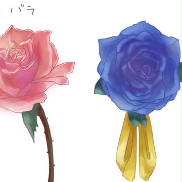 【練習W12】花
