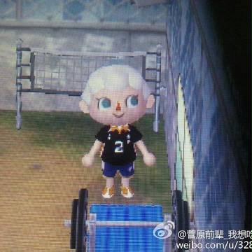 ハイキュー!!HQ!! Suga & GINTAMA Gin