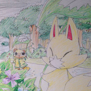 雨