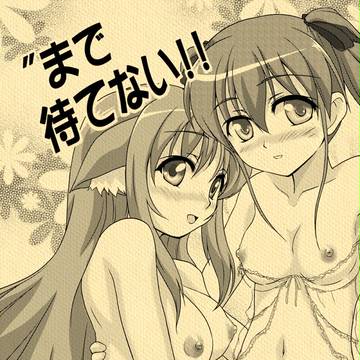 冬コミ出ます!