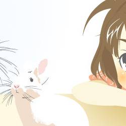 かんさつ