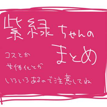 紫緑ちゃんのまとめ