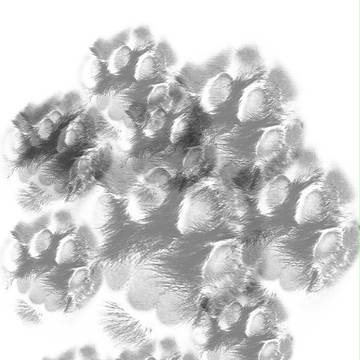 猫の手ブラシ