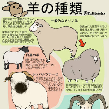 来年の干支、意外と知らない羊の種類を図解