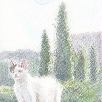 ねこ模写(6枚)