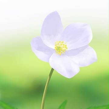 花