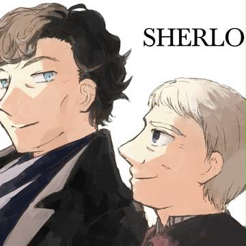 SH log