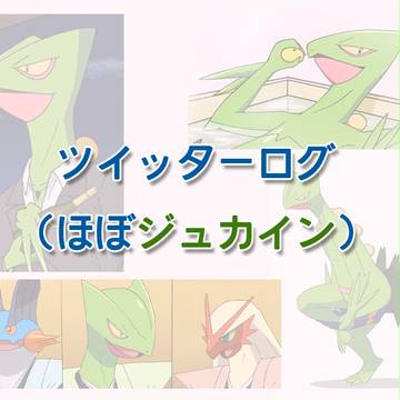 新年福袋？ジュカインまみれのツイッターログ