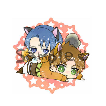 こんな感じのアクリルホルダーを