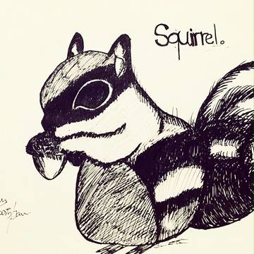 Squirrel