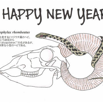 今年もヘビ年