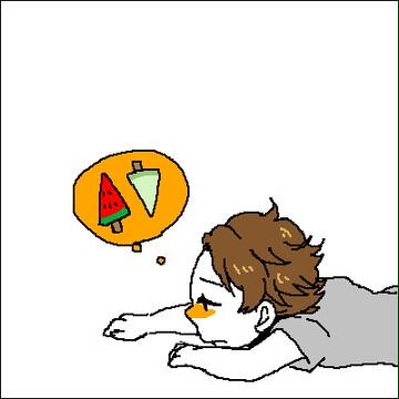 16枚