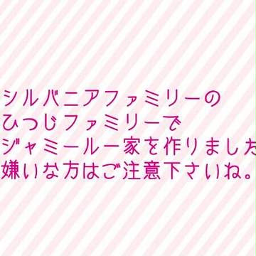楽しいシルバニア(ジャミール)ファミリー