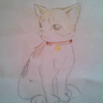 三毛猫ちゃん。