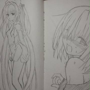 ヤミモモ