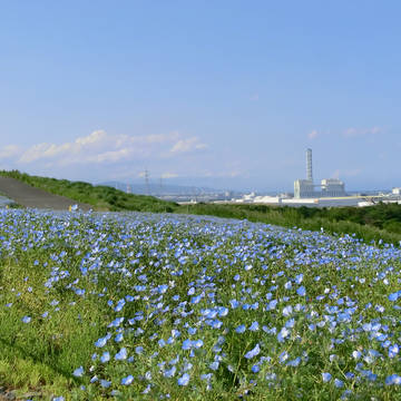 風景