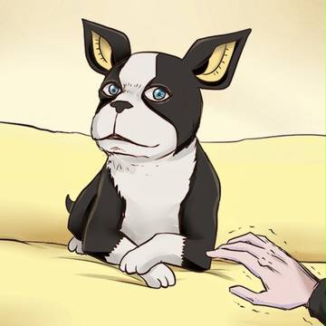 iggy X doge