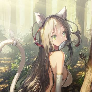 野生の猫