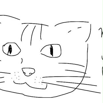 ねこ