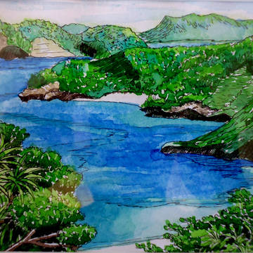 小笠原の海