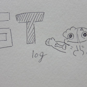 ST log