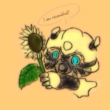 TF詰め
