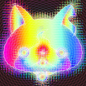 磁場にゃん