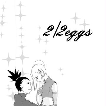2/2eyes
