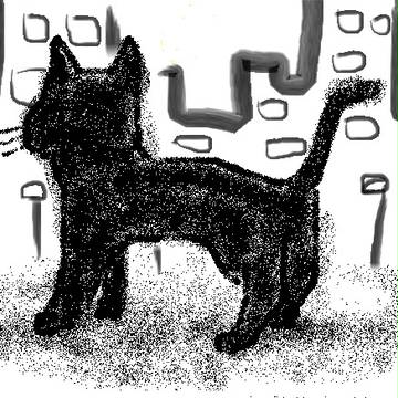 黒猫