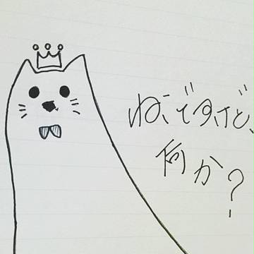 "猫"ですけど何か？