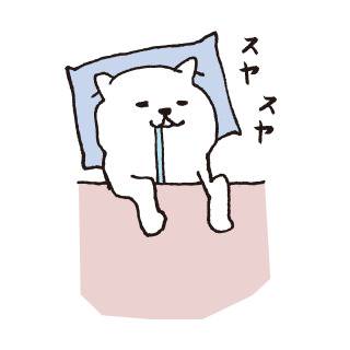 白い犬と柴犬とサバ目な犬友