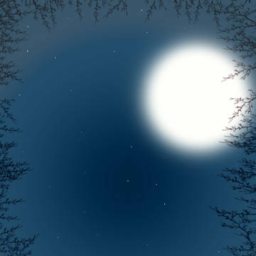 夜