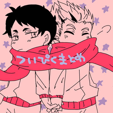 ついぴくまとめ